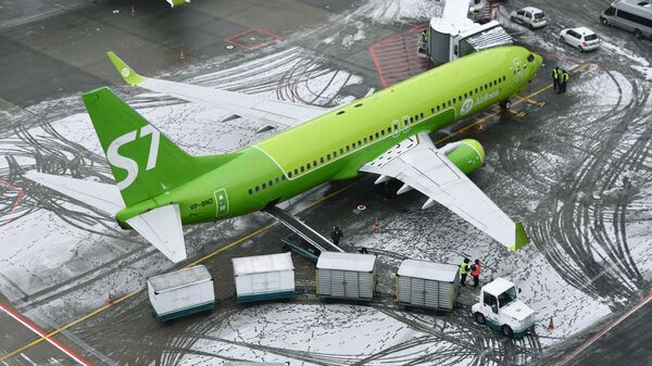 莫斯科降雪，多个机场60多个航班延误或取消