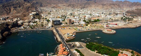 也门确诊首例新冠病毒感染病例 - 俄罗斯卫星通讯社