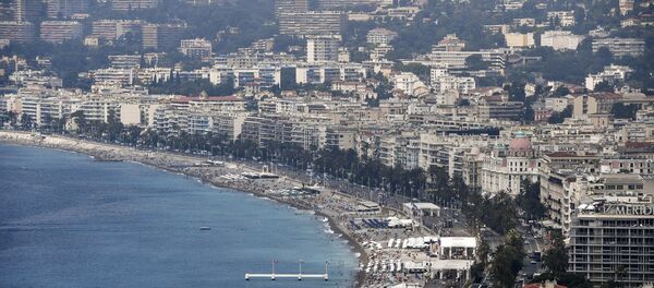 尼斯 - 俄罗斯卫星通讯社