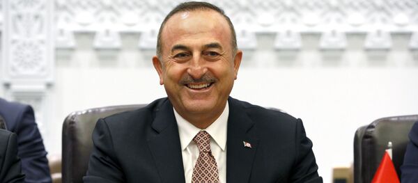 Мевлют Чавушоглу - 俄罗斯卫星通讯社