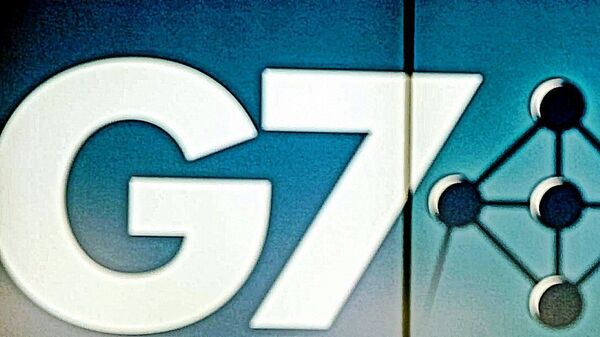 G7国家 - 俄罗斯卫星通讯社