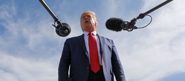 Президент США Дональд Трамп во время беседы с журналистами о сделке Турции по прекращению огня в Сирии, , штат Техас - 俄罗斯卫星通讯社