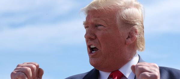 特朗普證實已消滅“伊斯蘭國”頭目巴格達迪 - 俄羅斯衛星通訊社