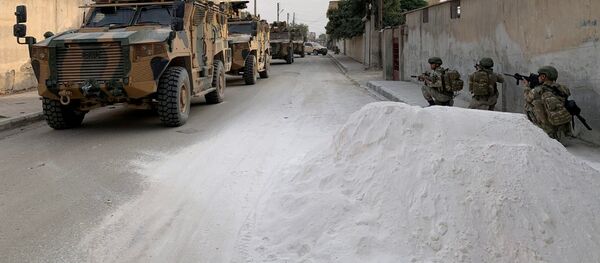 埃爾多安:安卡拉有意在敘利亞北部的安全區內建立12個觀察站 埃爾多安:安卡拉有意在敘利亞北部的安全區內建立12個觀察站 - 俄羅斯衛星通訊社