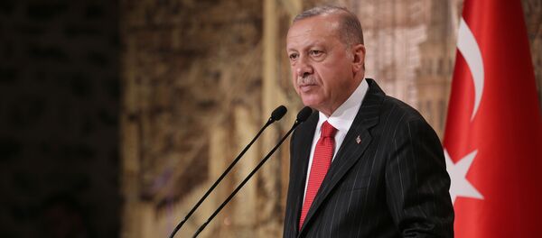 Президент Турции Тайип Эрдоган во время встречи со СМИ в Стамбуле - 俄罗斯卫星通讯社