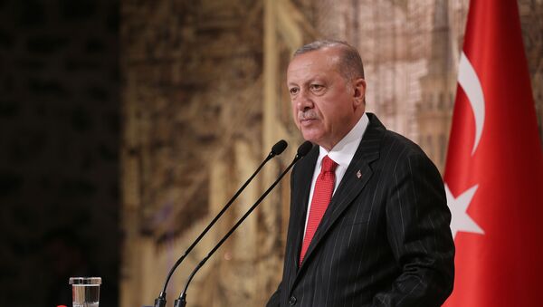 Президент Турции Тайип Эрдоган во время встречи со СМИ в Стамбуле - 俄羅斯衛星通訊社