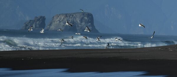 中國國防部：中方堅決反對美國在亞太地區部署中導 - 俄羅斯衛星通訊社