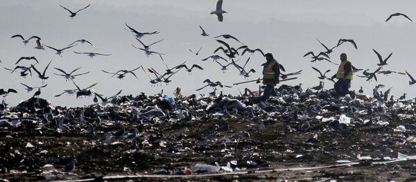 专家：俄罗斯不会遭遇垃圾纠纷 - 俄罗斯卫星通讯社