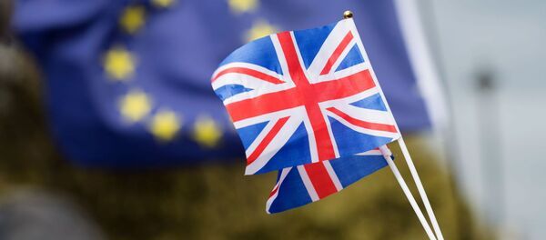 Противники выхода Великобритании из Европейского Союза на улице Лондона Противники выхода Великобритании из Европейского Союза на улице Лондона - 俄罗斯卫星通讯社