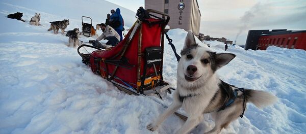 “今日俄罗斯”国际通讯社北极项目网站遭Facebook封禁 “今日俄罗斯”国际通讯社北极项目网站遭Facebook封禁 - 俄罗斯卫星通讯社