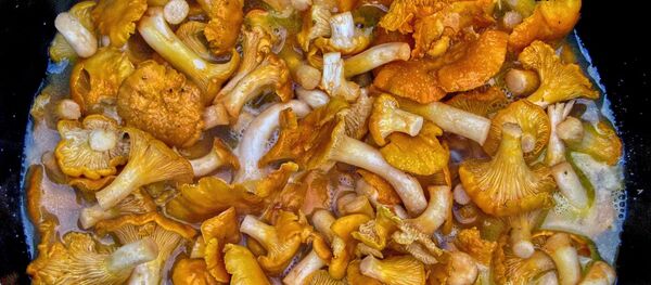 Приготовление грибов Приготовление грибов - 俄羅斯衛星通訊社