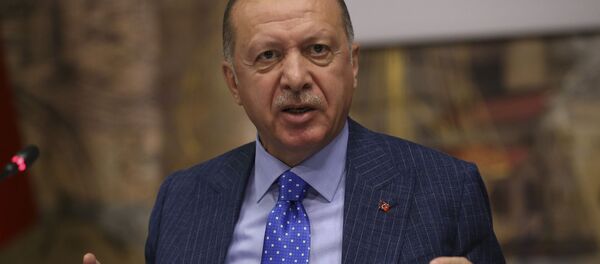 Президент Турции Реджеп Тайип Эрдоган - 俄羅斯衛星通訊社