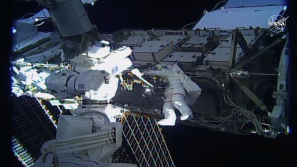 美国航天局护士：新冠病毒被带上国际空间站的可能性基本为零 - 俄罗斯卫星通讯社