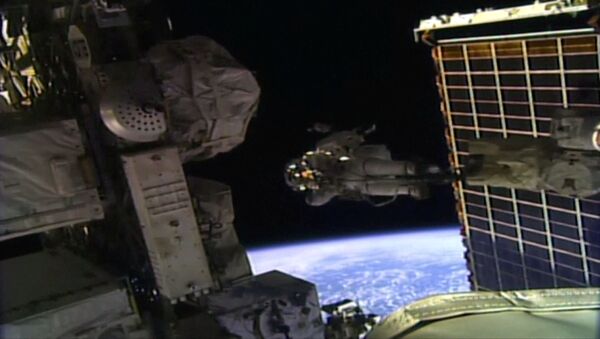 国际空间站考察组成员返回地球时间已确定 - 俄罗斯卫星通讯社