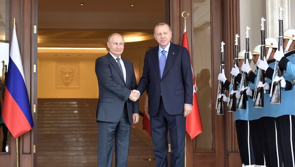 普京在与埃尔多安会晤后称，土耳其领导人解释了该国在叙利亚开展行动的目的和任务 - 俄罗斯卫星通讯社