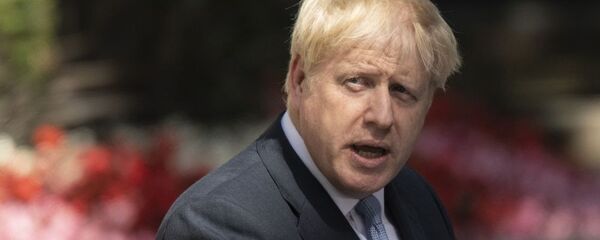 约翰逊领导的保守党赢得议会选举 - 俄罗斯卫星通讯社