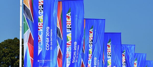 专家：俄罗斯严肃地致力于加强在非洲的影响力 - 俄罗斯卫星通讯社