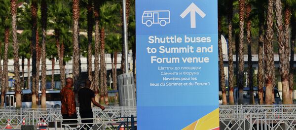 俄罗斯-非洲论坛 - 俄罗斯卫星通讯社