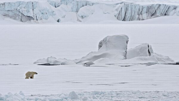 Белый медведь на льдине в Северном ледовитом океане - 俄罗斯卫星通讯社