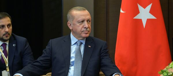 Президент Турции Реджеп Тайип Эрдоган - 俄羅斯衛星通訊社