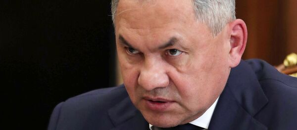 Сергей Шойгу - 俄罗斯卫星通讯社