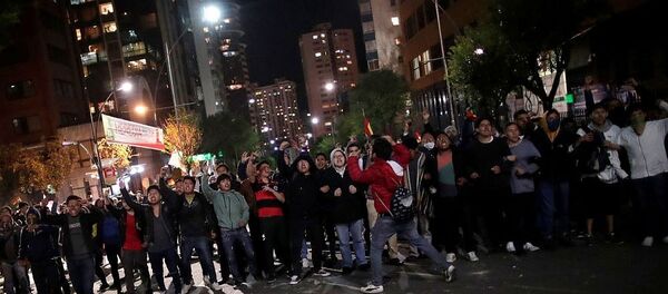 媒体：玻利维亚抗议活动至少导致30人受伤 - 俄罗斯卫星通讯社