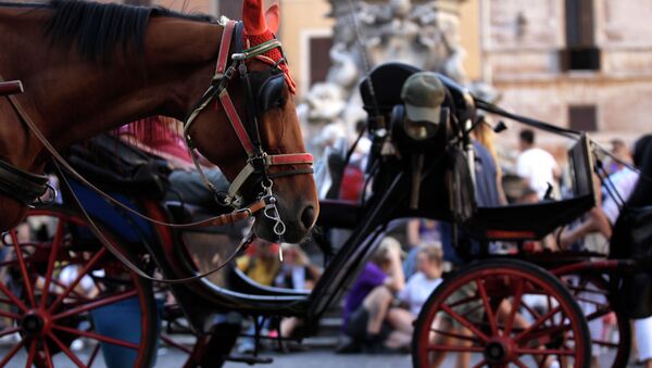 罗马动物保护人士呼吁禁止使用观光马车 - 俄罗斯卫星通讯社