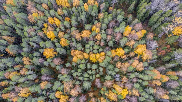 世界各地的秋天 - 俄羅斯衛星通訊社