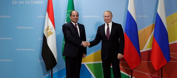 普京称俄埃双边关系发展顺利 贸易额增长 普京称俄埃双边关系发展顺利 贸易额增长 - 俄罗斯卫星通讯社