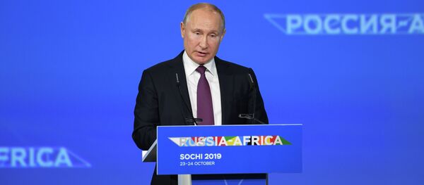 普京呼籲在4-5年內將俄非貿易額擴大一倍 - 俄羅斯衛星通訊社