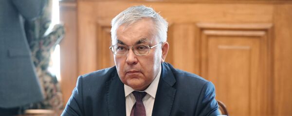Заместитель министра иностранных дел РФ Сергей Вершинин - 俄罗斯卫星通讯社