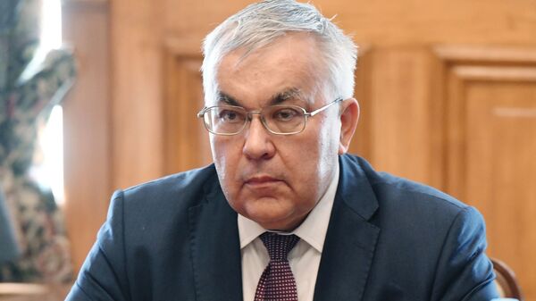 俄羅斯外交部副部長謝爾蓋•韋爾希寧 - 俄羅斯衛星通訊社