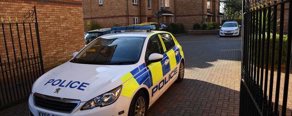 Автомобиль полиции Великобритании. Архивное фото - 俄罗斯卫星通讯社