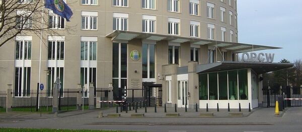 维基解密：禁化武组织内部文件令人对其叙利亚杜马化武袭击调查结论产生怀疑 - 俄罗斯卫星通讯社