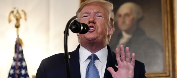 Президент США Дональд Трамп в Белом доме в Вашингтоне - 俄羅斯衛星通訊社