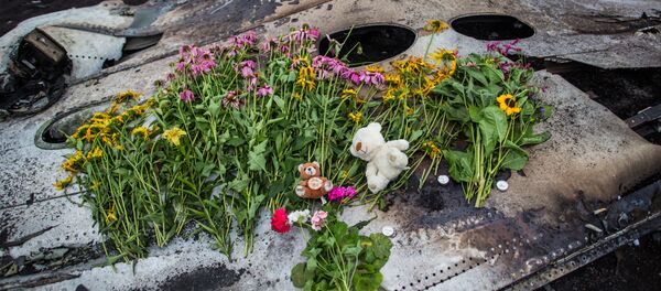 Цветы на фюзеляже лайнера Boeing 777 Малайзийских авиалиний, потерпевшего крушение в районе города Шахтерск Донецкой области - 俄罗斯卫星通讯社