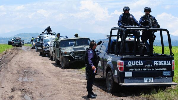 墨西哥警察和军队 - 俄罗斯卫星通讯社