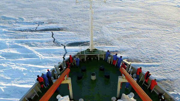 “雪龙”号极地考察船抵达中国南极长城站 - 俄罗斯卫星通讯社