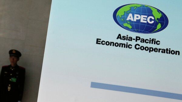 中國商務部：期待APEC貿易部長會議共同發出亞太聲音 達成務實成果 - 俄羅斯衛星通訊社