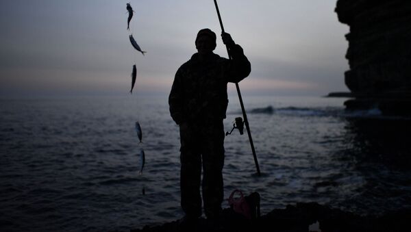 Рыбак на мысе Тарханкут в поселке Оленевка в Крыму - 俄羅斯衛星通訊社