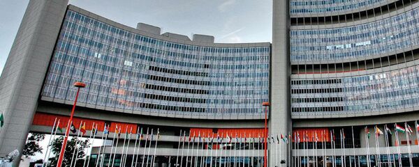  Международное агентство по атомной энергии - 俄罗斯卫星通讯社