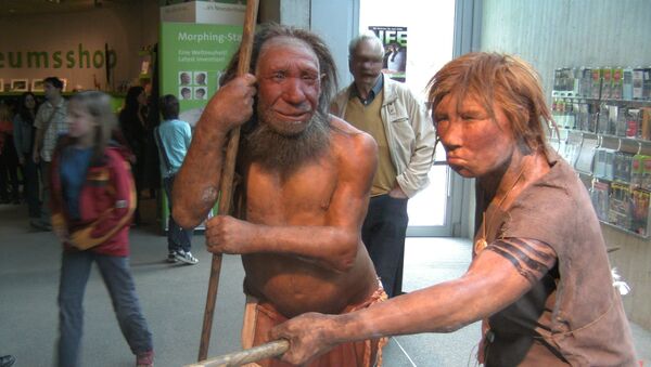 Реконструкция неандертальских мужчины и женщины в Неандертальском музее города Меттман, Германия - 俄罗斯卫星通讯社