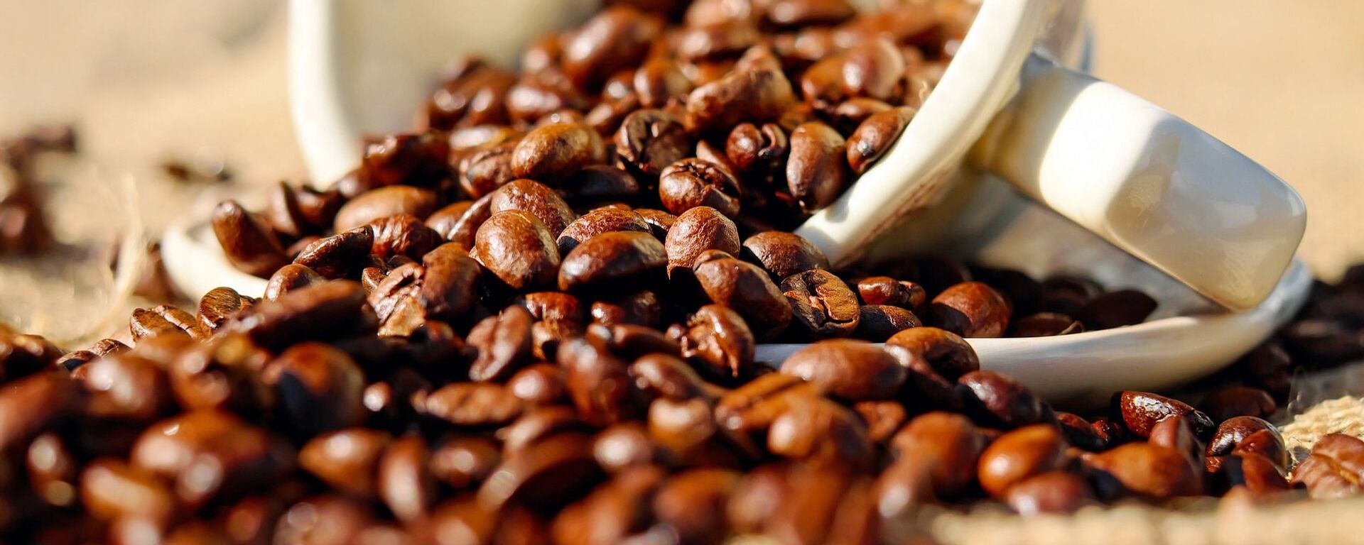 俄羅斯10月份從巴西進口咖啡翻倍，達到創紀錄的5800萬美元 - 俄羅斯衛星通訊社, 1920, 08.11.2024