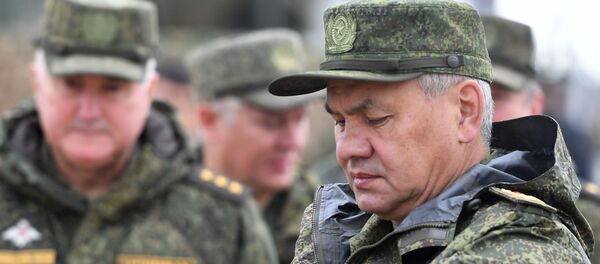 Министр обороны РФ Сергей Шойгу - 俄羅斯衛星通訊社