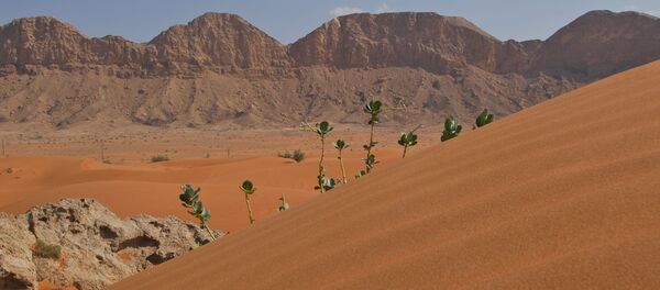 Пустыня в ОАЭ - 俄罗斯卫星通讯社