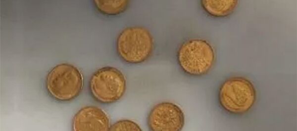 Монеты из желтого металла, изъятые у гражданки КНР во время предполетного контроля - 俄羅斯衛星通訊社