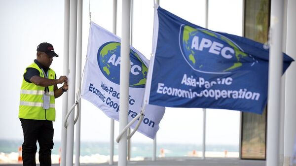 A worker hangs flags from flagpoles outside of APEC Haus, the main venue of the APEC Economic Leaders' Week Summit as a military ship is anchored just offshore in Port Moresby, Papua New Guinea, Wednesday, Nov. 14, 2018.  - 俄羅斯衛星通訊社