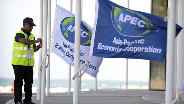 A worker hangs flags from flagpoles outside of APEC Haus, the main venue of the APEC Economic Leaders' Week Summit as a military ship is anchored just offshore in Port Moresby, Papua New Guinea, Wednesday, Nov. 14, 2018.  - 俄罗斯卫星通讯社