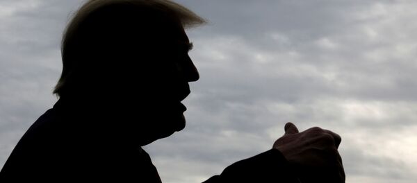 Президент США Дональд Трамп  - 俄罗斯卫星通讯社
