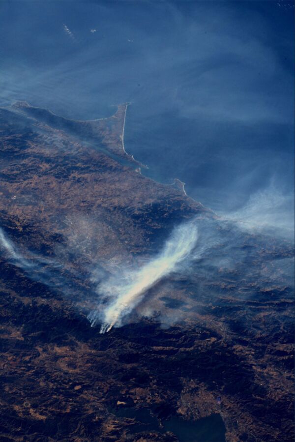 Пожар Kincade Fire в Калифорнии - 俄罗斯卫星通讯社